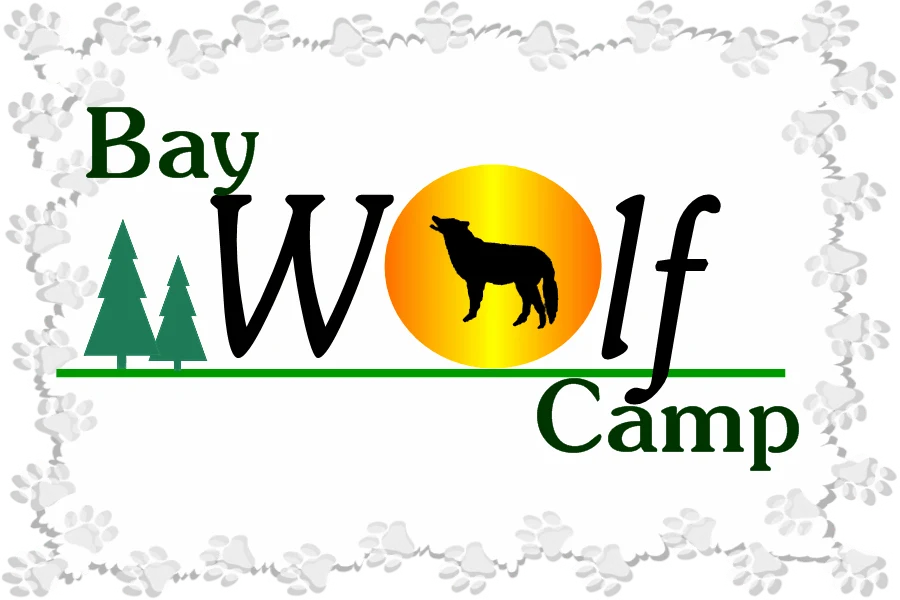 Bay Wolf Camp logo