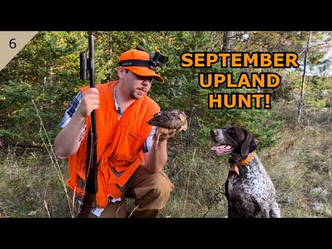 Video thumbnail: Bird Hunting in Thick September Foliage! | Woodcock and Grouse Hunting!